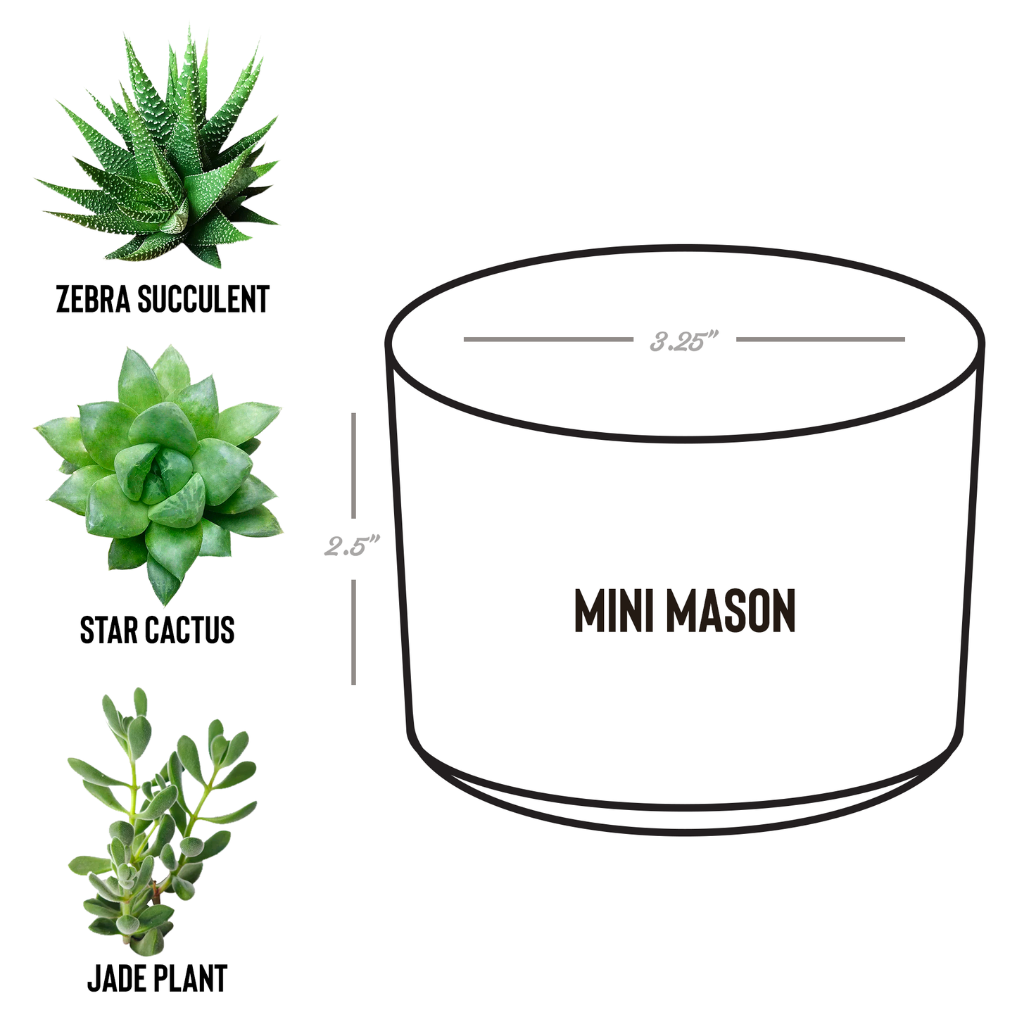 jw_baptism_gift_for_brothers_Mason_Spec_Mockup.png