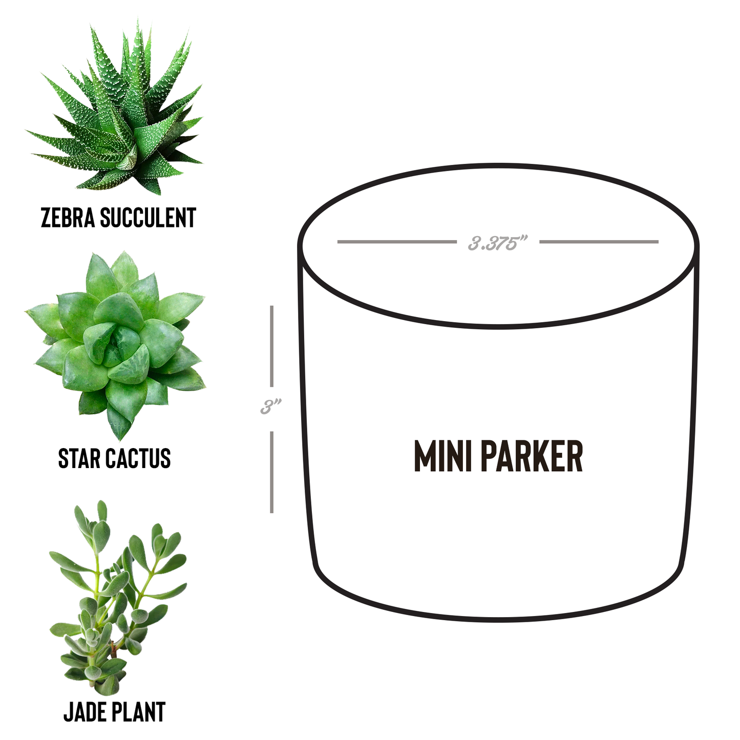 jw_baptism_gift_for_brothers_Parker_Spec_Mockup.png