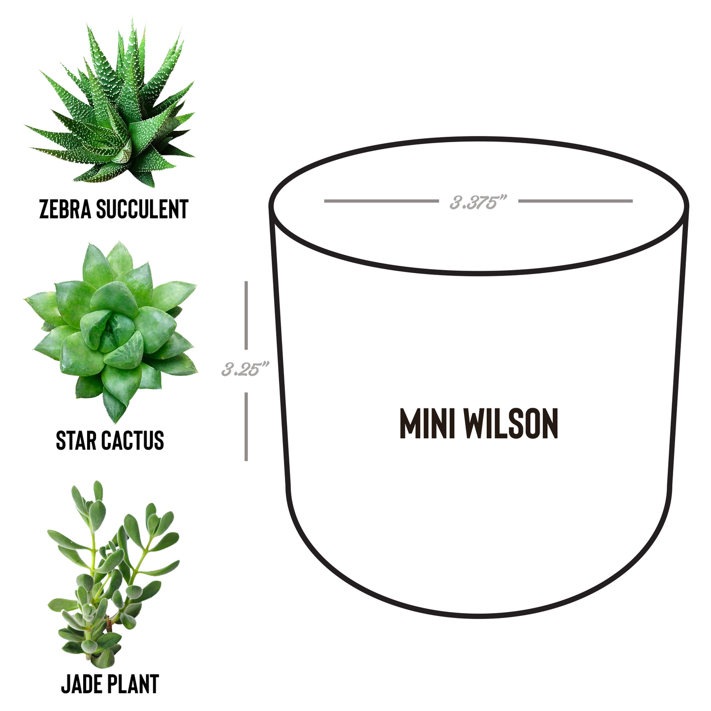 jw_baptism_gift_for_brothers_Wilson_Spec_Mockup.png